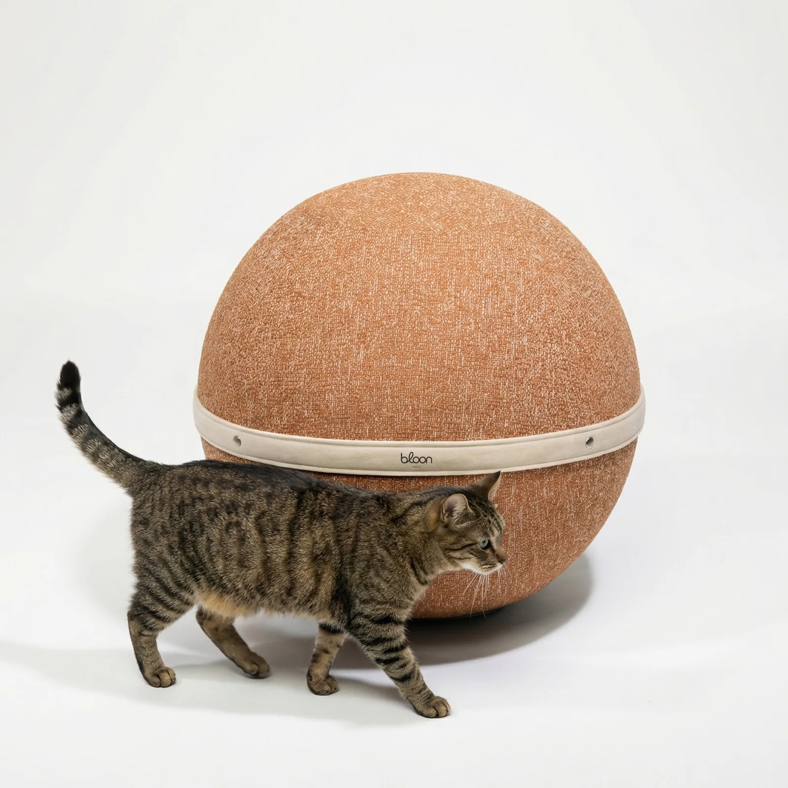 Le Bloon résistant aux compagnons à 4 pattes