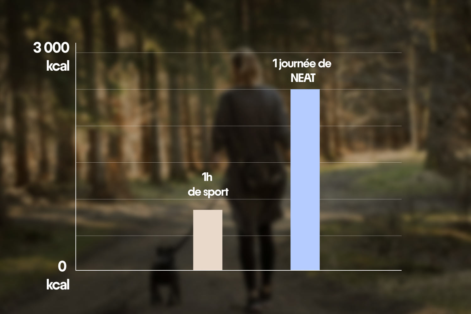Le NEAT : bouger en dehors du sport